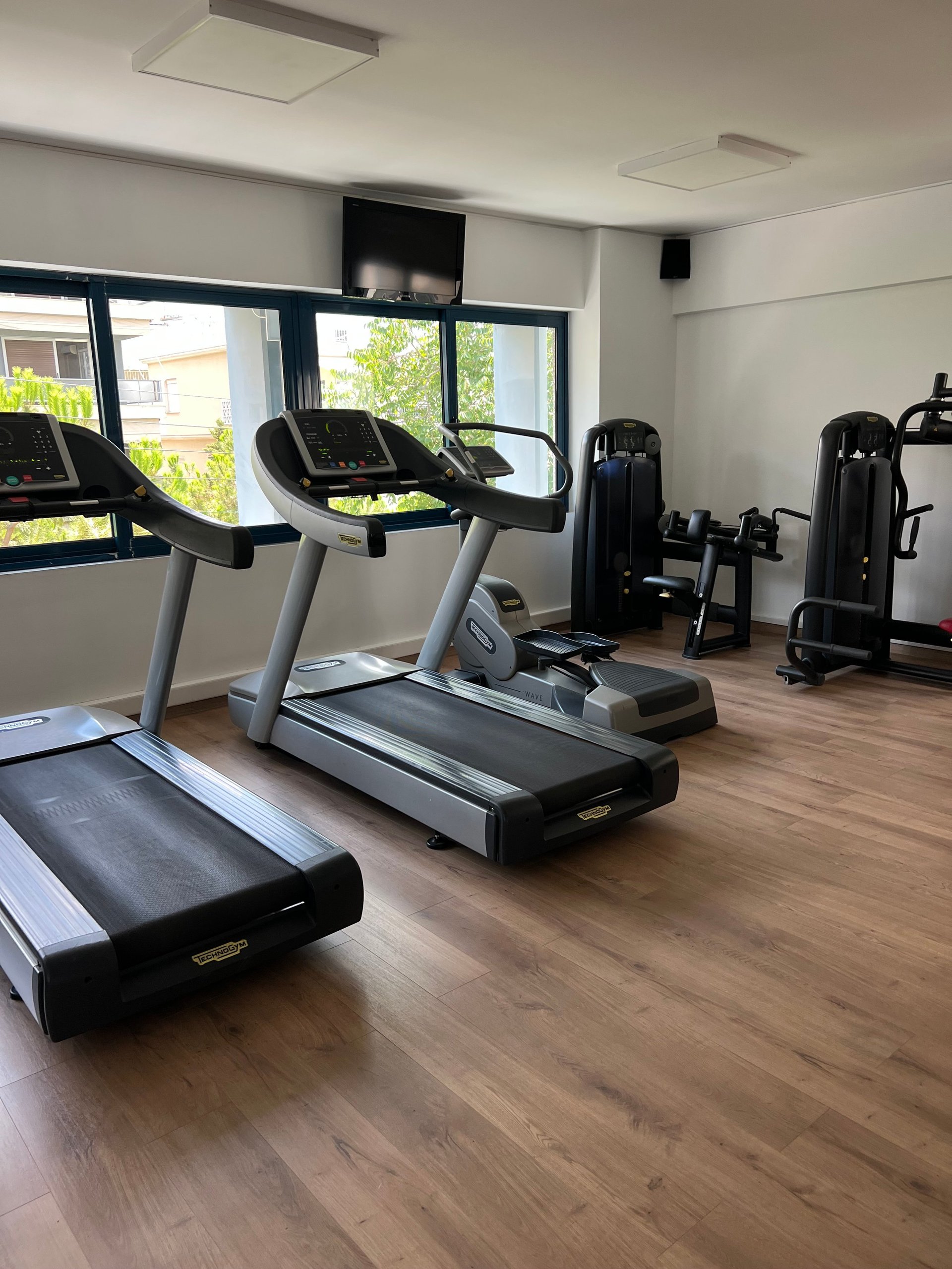 Modern gym interior with multiple treadmills on wooden floor, gym equipment in background, large windows with natural light